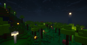 Emerald forest