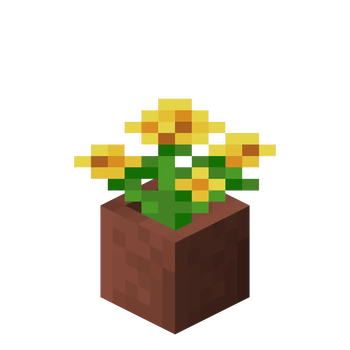 Potted Dandelion