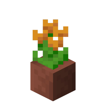 Potted Orange Tulip