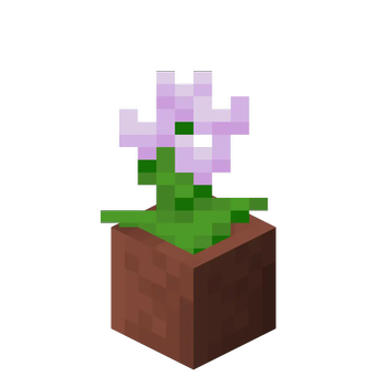 Potted Pink Tulip