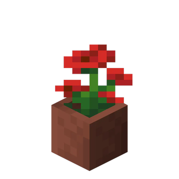 Potted Poppy