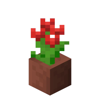 Potted Red Tulip