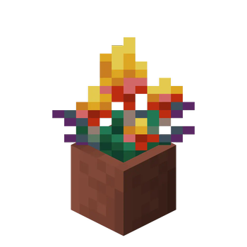 Potted Torchflower