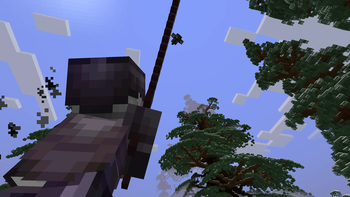 Wither Slam Attack