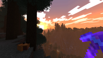 Spruce pit sunset (v2)