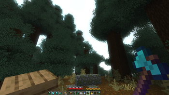 spruce forest