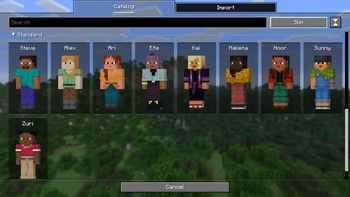 Explore entire skin collections
