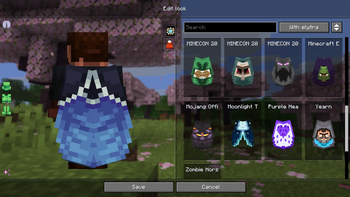 Find a cape with an elytra texture