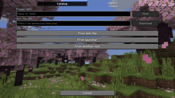 Import skins your way