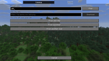 Import skins your way
