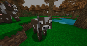 a cow enjoying the autumn forest