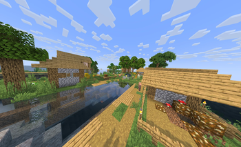 Village