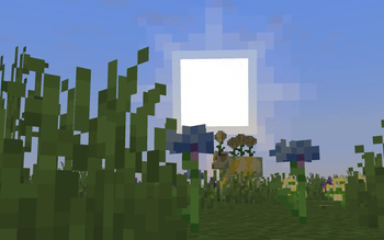 The Sun