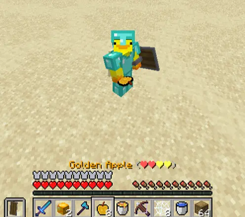 The armor