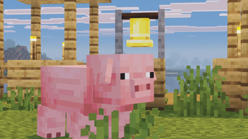 Pig