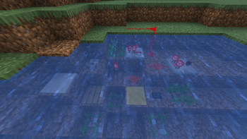 Showcase Waterlogged Property