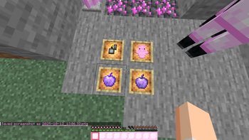 RESOURCE PACK FOR GIRLS