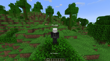 Third-person View