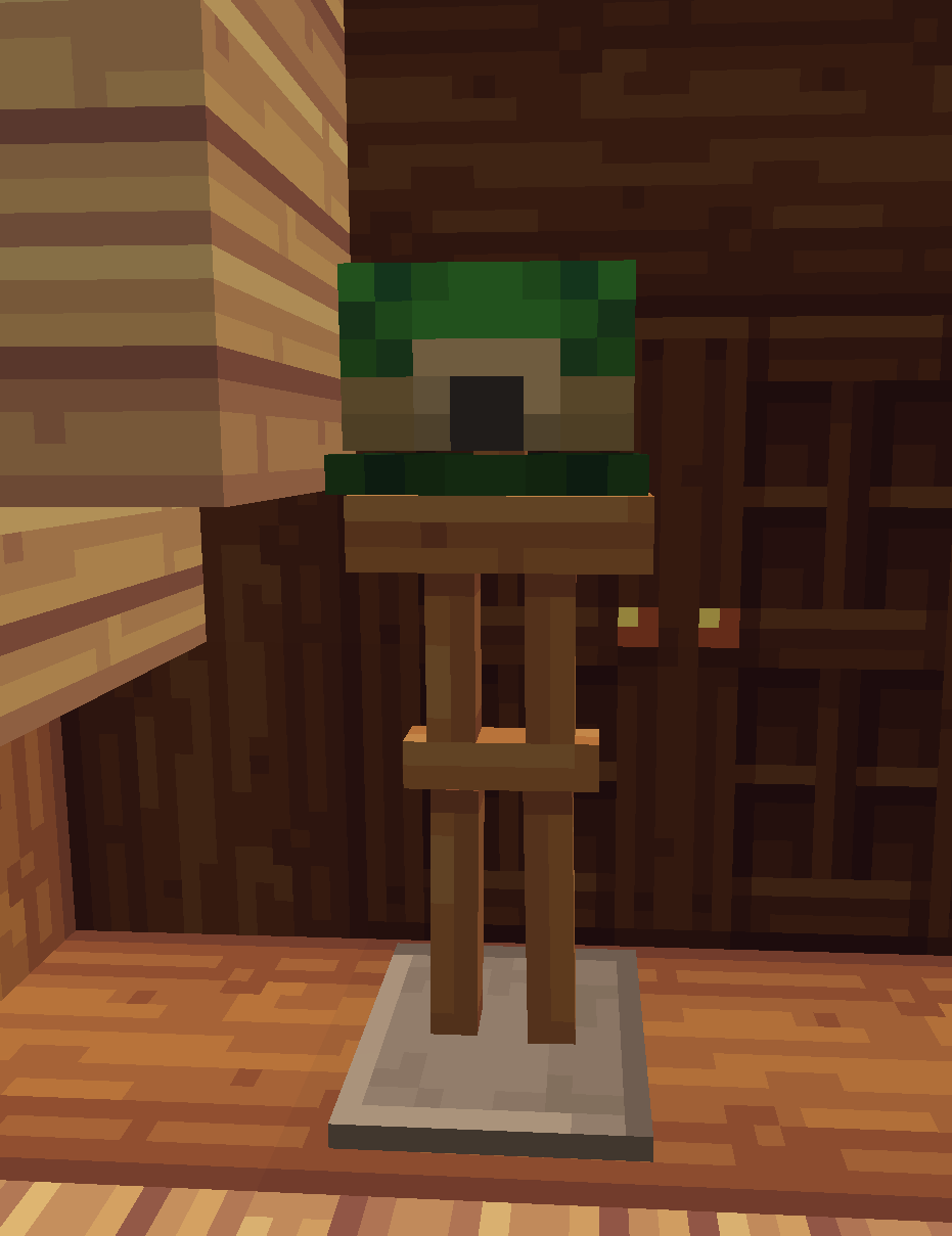 Turtle Hat