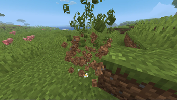 Blocky Particles!