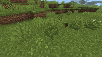 Bushier Vegetation!