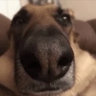 Smoup