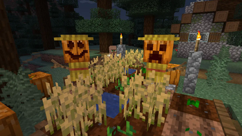 Scarecrows