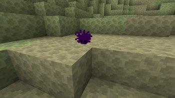 End Silverfish