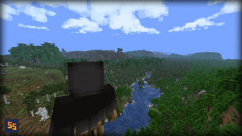 Distant Horizons