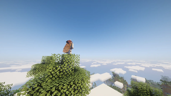 Wearing Dirt Elytra