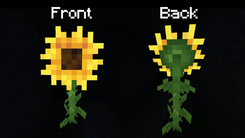 New look for Sunflower model
