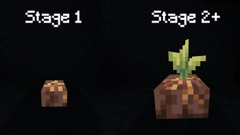 New look for Pitcher Crop model