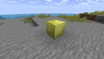 Coin block