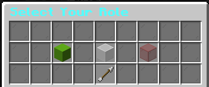 Role Selection GUI
