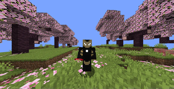 Model prime black