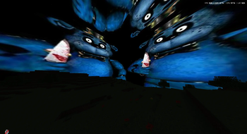 bear5 dimension