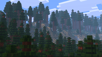 Redwood Forest
