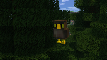 Owl