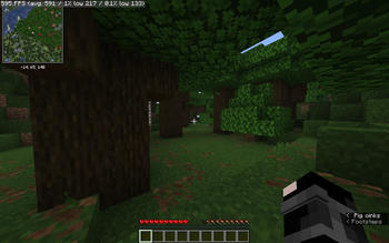FPS at 8 Chunks Render Distance