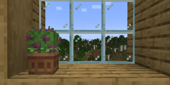 Just a Plant