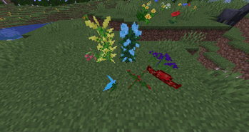 Flowers!