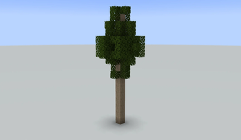 Tectona Grandis tree