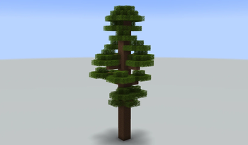 Bubinga tree
