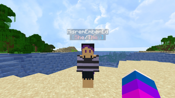 How it looks below a player's name