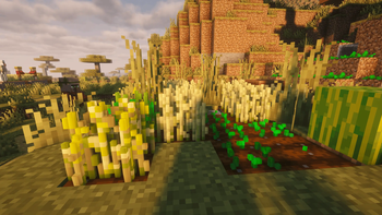 Realistic Nature 3D