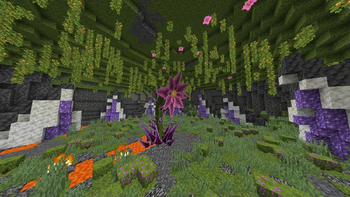 Void Blossom
