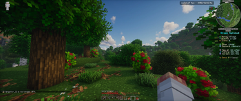 Better HUD