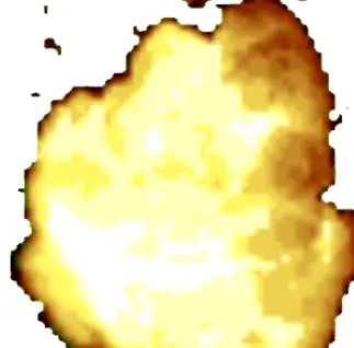 The Pack's Icon