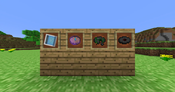 The Items (v1.4+)