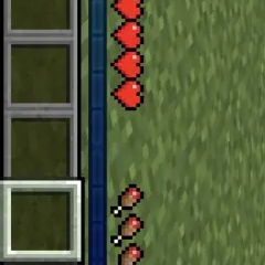 New XP Bar